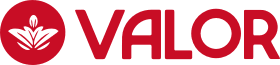 Logo Chocolates Valor